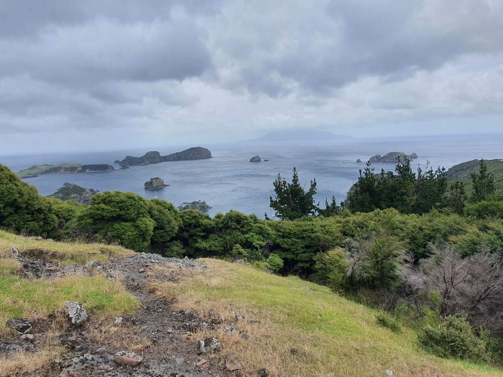Great view point on the Oneura Bay (Red Cliff Cove) Castle Peak Summit Loop Track on Great Barrier Island by Sandra from Freewalks.nz New Zealand