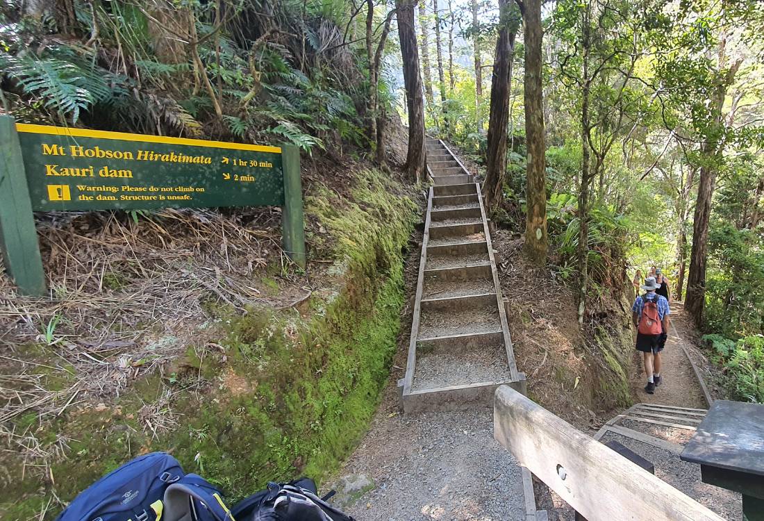 Kauri dam turnoff on the Mt Hobson walk on Great Barrier Island by Sandra from Freewalks.nz New Zealand