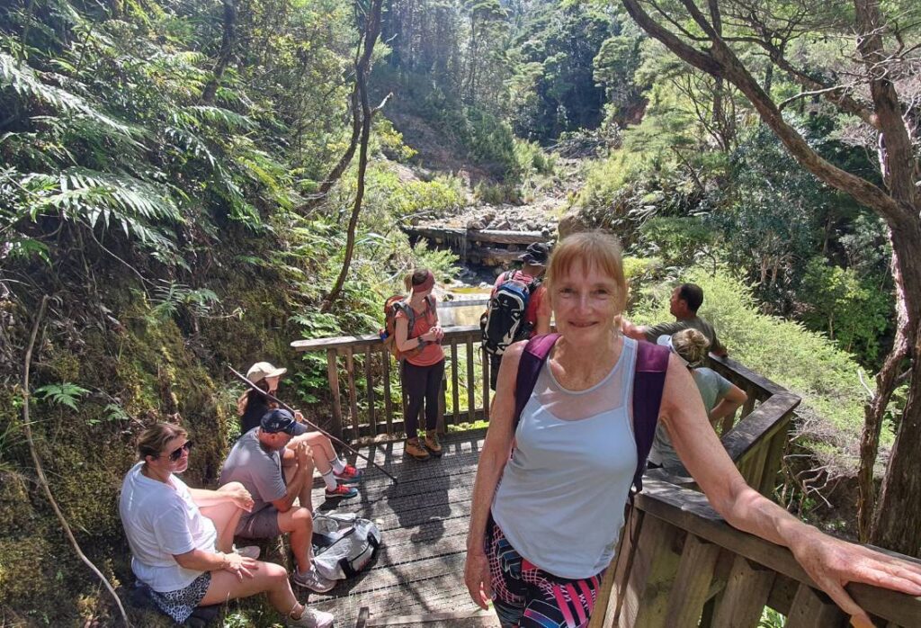 Mt Hobson Summit Loop Track on Great Barrier Island Freewalks.nz