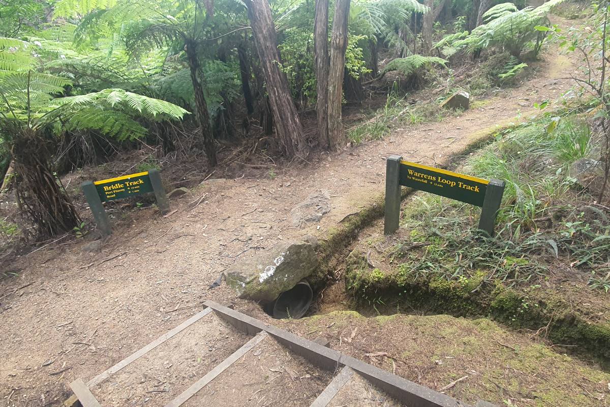 Turn off to Warrens Loop Track on the Bridle Track on Great Barrier Island by Sandra from Freewalks.nz New Zealand