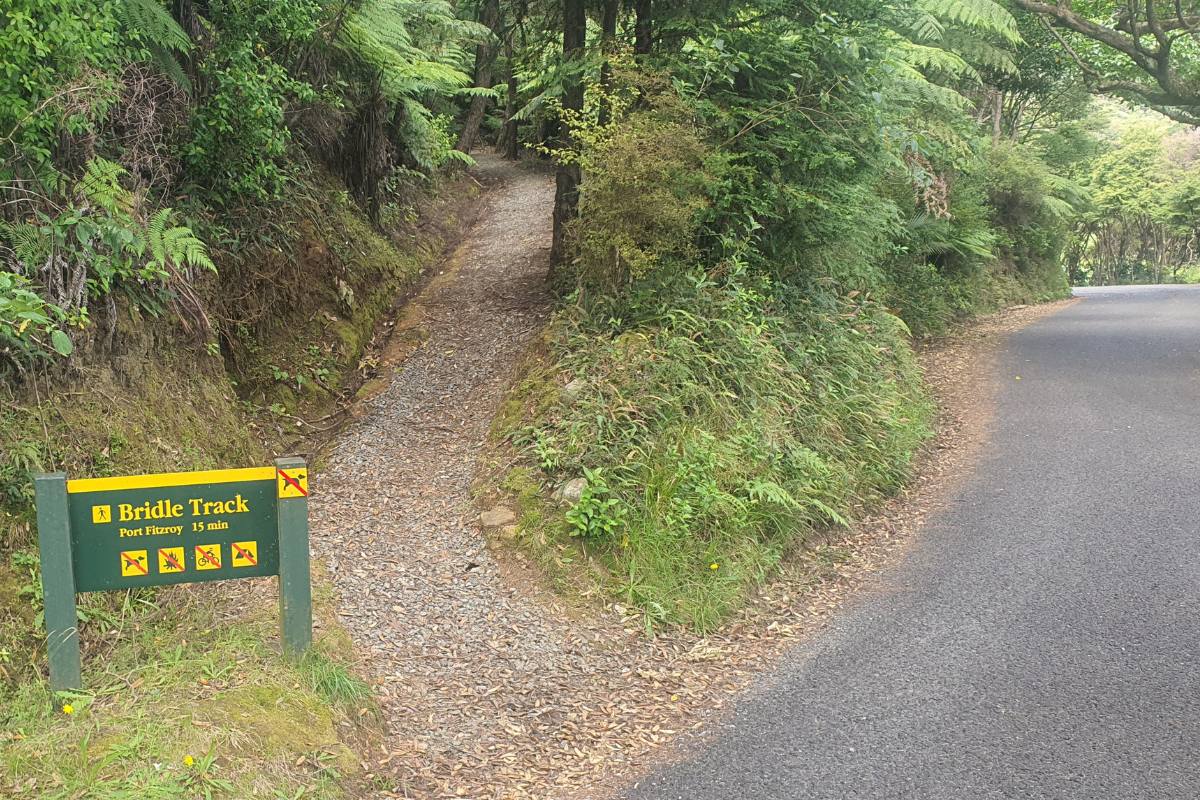 Where the Bridle Track meets the main road on Great Barrier Island by Sandra from Freewalks.nz New Zealand
