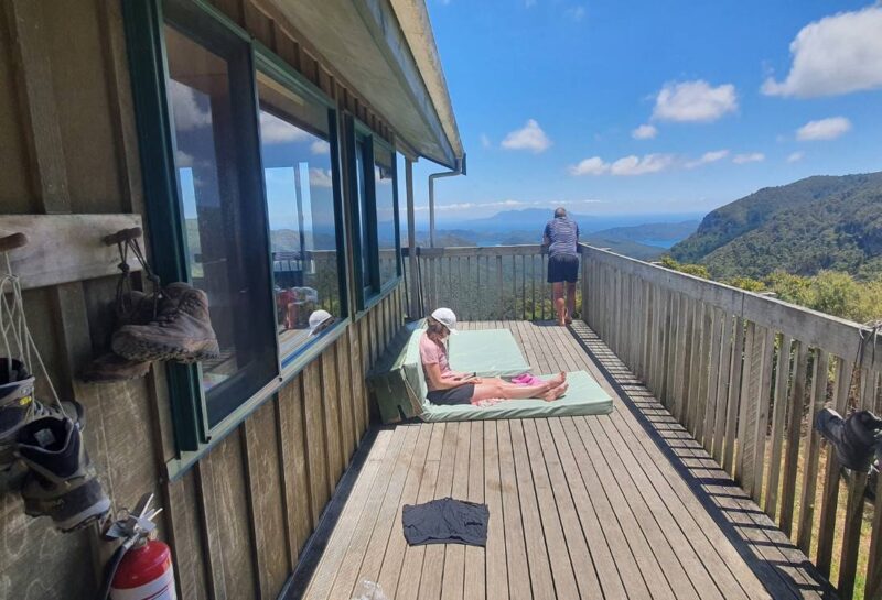 Mt Hobson Summit Loop Track on Great Barrier Island Freewalks.nz
