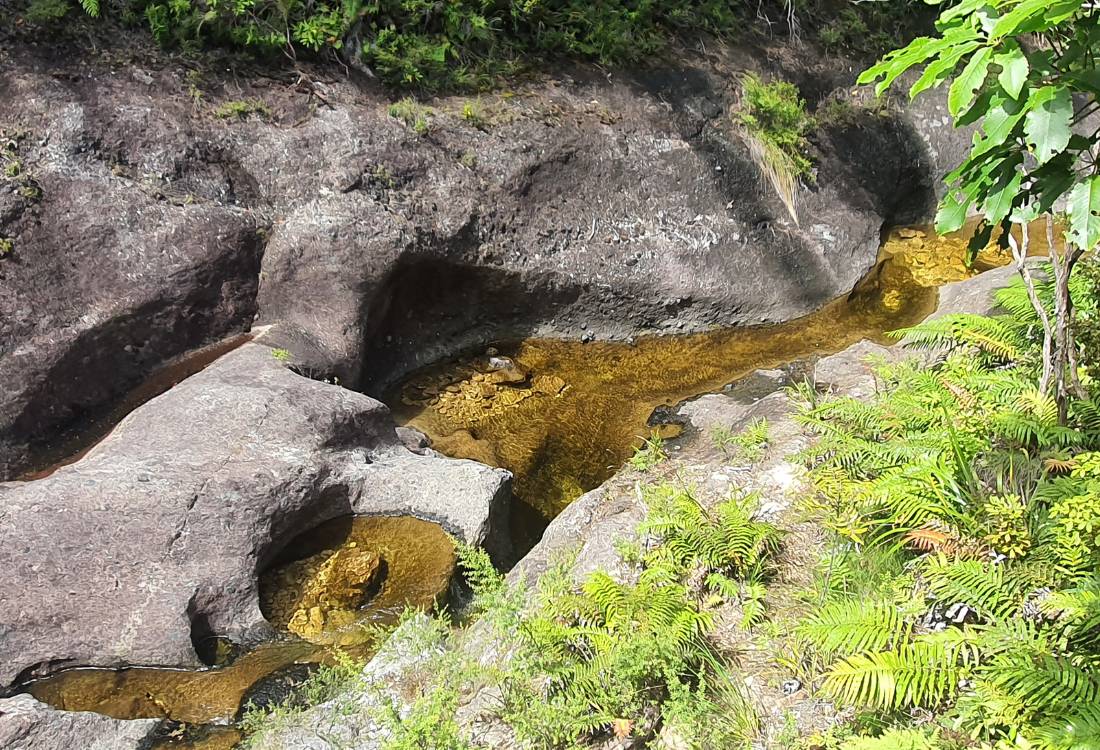 Clear water stream on the Mt Hobson walk on Great Barrier Island by Sandra from Freewalks.nz New Zealand