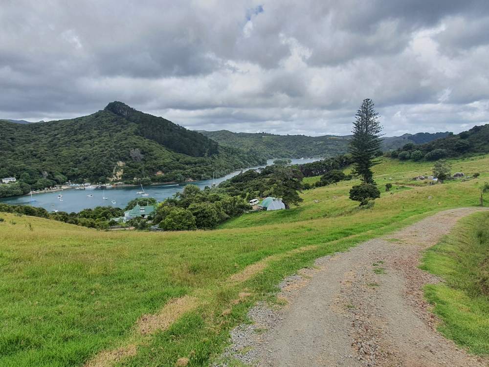 FIrst good view part way up Glenfern Loop Track at Port Fitzroy on Great Barrier Island by Sandra from Freewalks.nz New Zealand