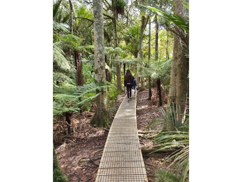 Me walking along the Clevedon Reserve Boardwalk in Clevedon Reserve