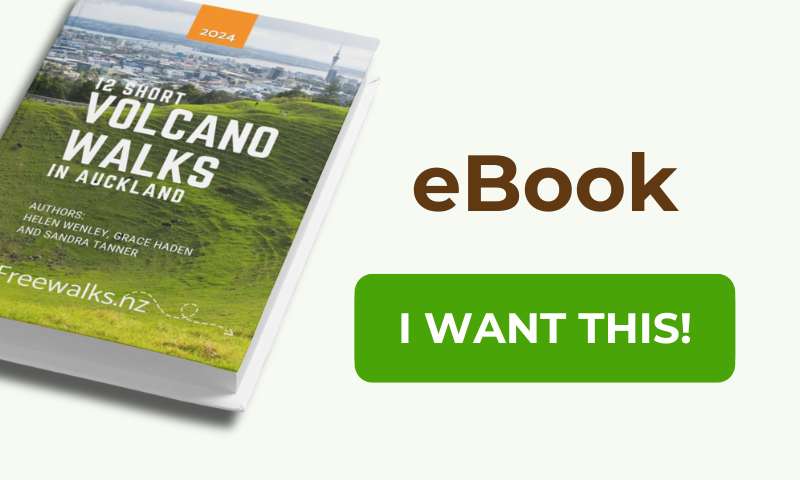 12 Short Volcano Walks in Auckland eBook (1)
