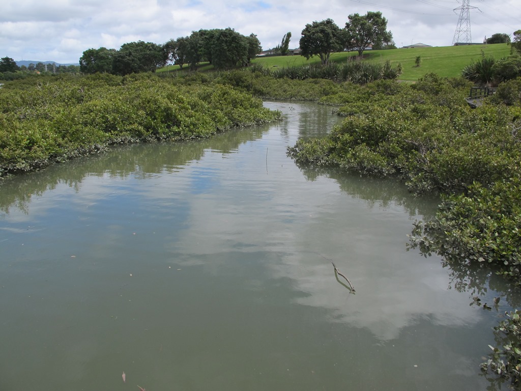 Avondale Whau River