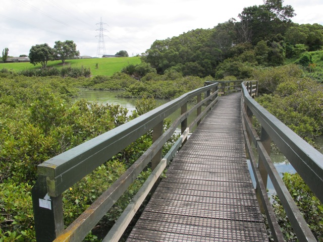 Boadwalk on the Avondale Whau River walk