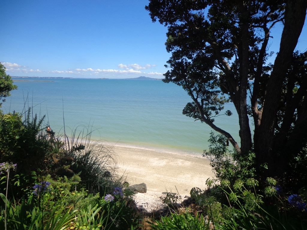 Beach at maraetai loop coastal walk