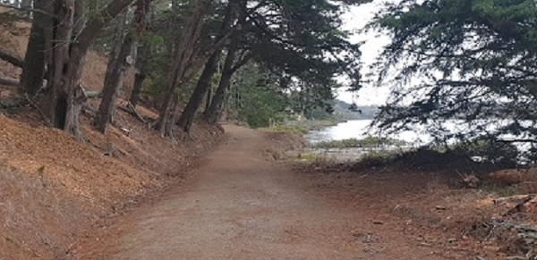 Coastal walkway along Turanga Creek