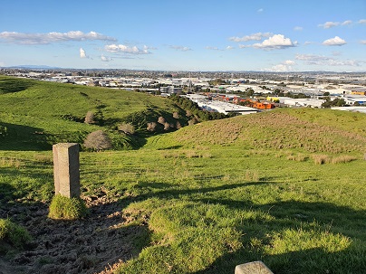 Farmland in the city