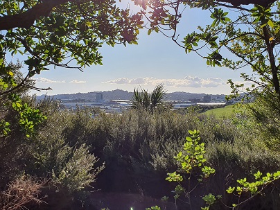 Hamlins Hill view to One Tree Hill