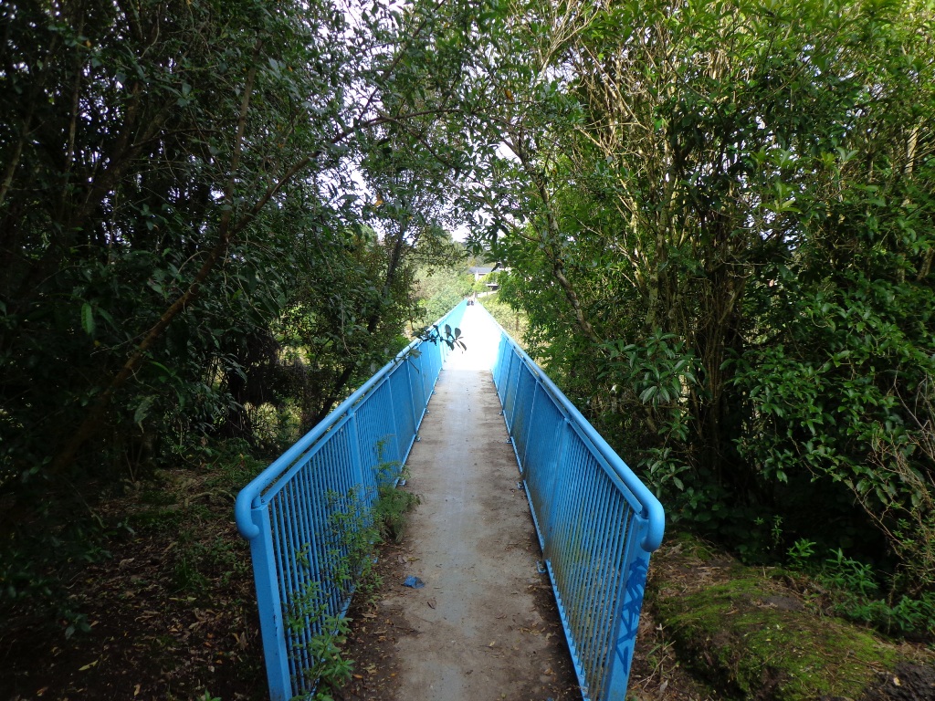 The walk bridge at Moire Park Bush Walk