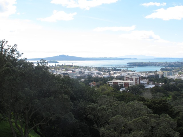 View from Mt Eden summit