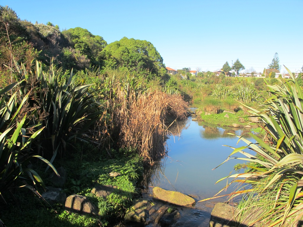 New Lynn Pottery and Parks walk bush pond