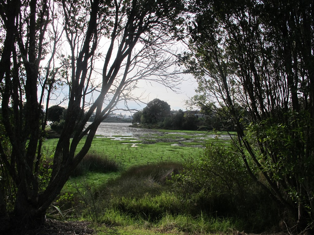 Papakura Inlets Walks