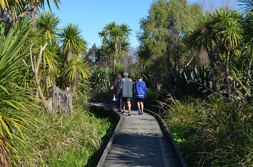 Pigeon Mountain wetlands boardwalk