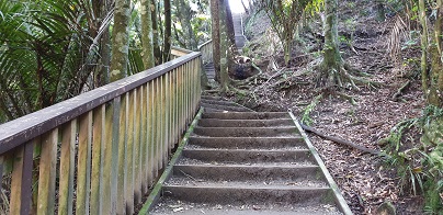 Puhinui Stairs