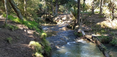 Puhinui-stream-and-waterfall
