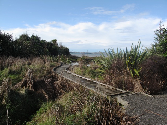 Te atatu Peninsula Walk path