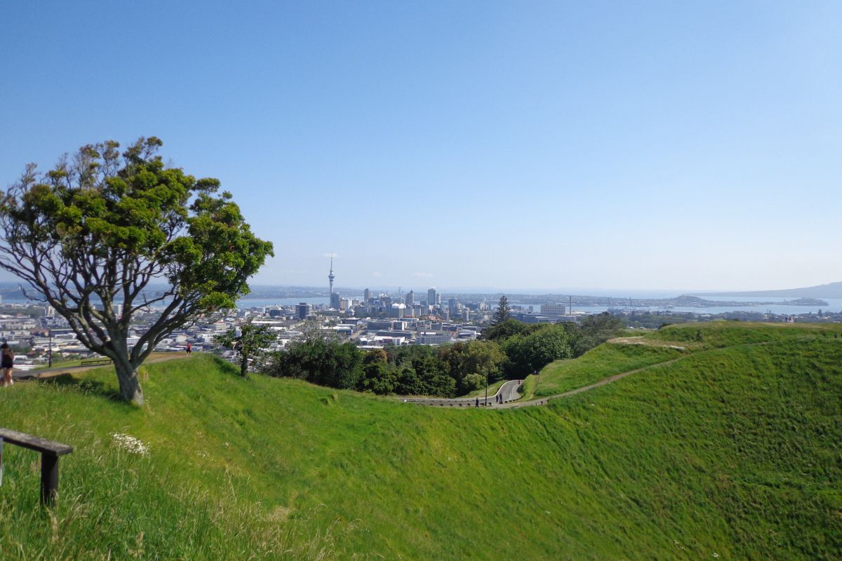 View of Auckland city with the sky tower in the background from Mt Eden Volcano