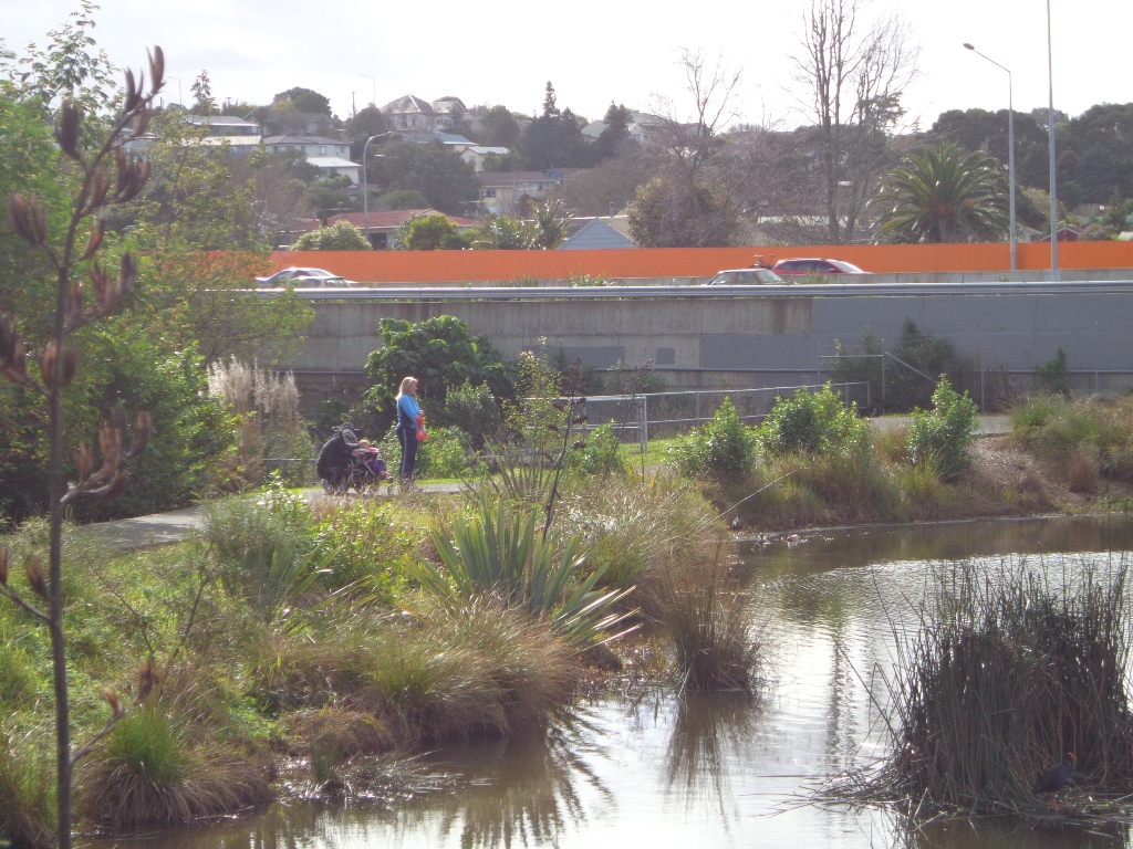 Westgate Loop Walk view pond