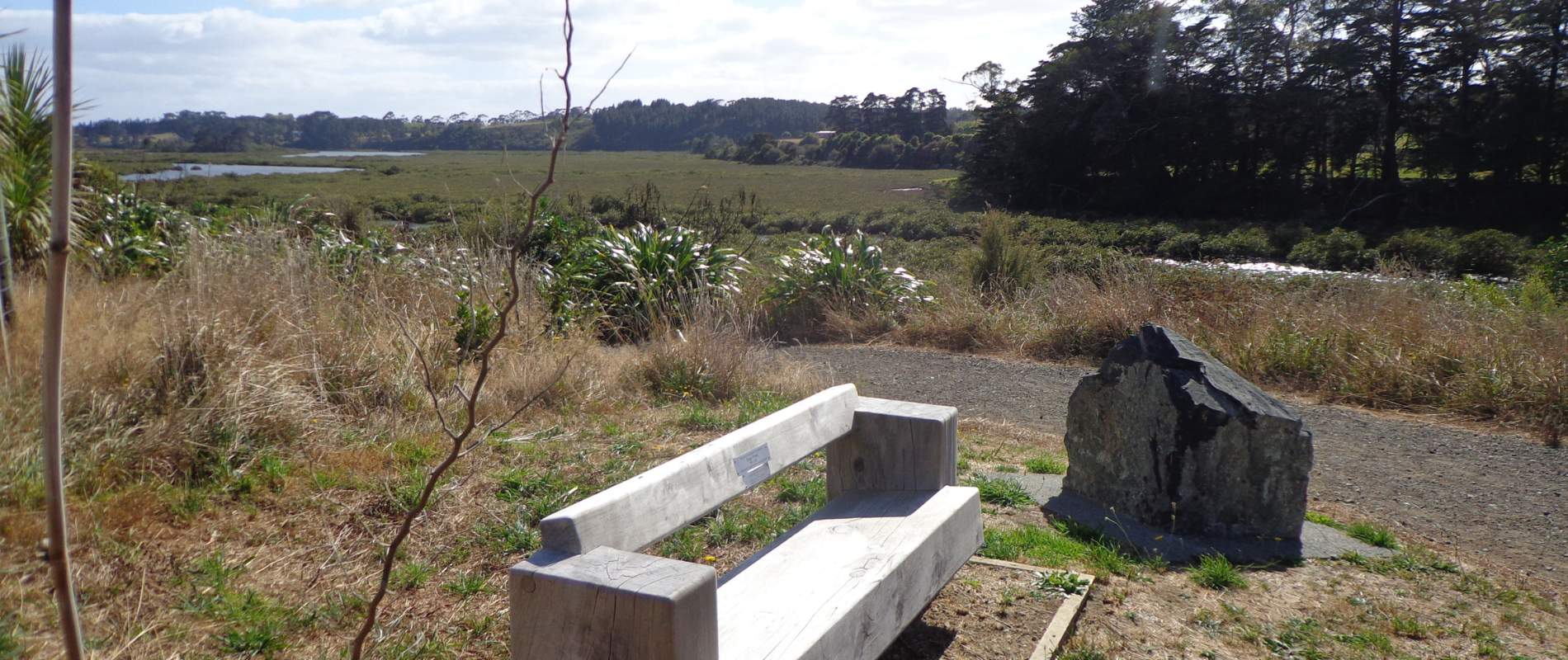 Whitford Beach – Turanga Creek Walk