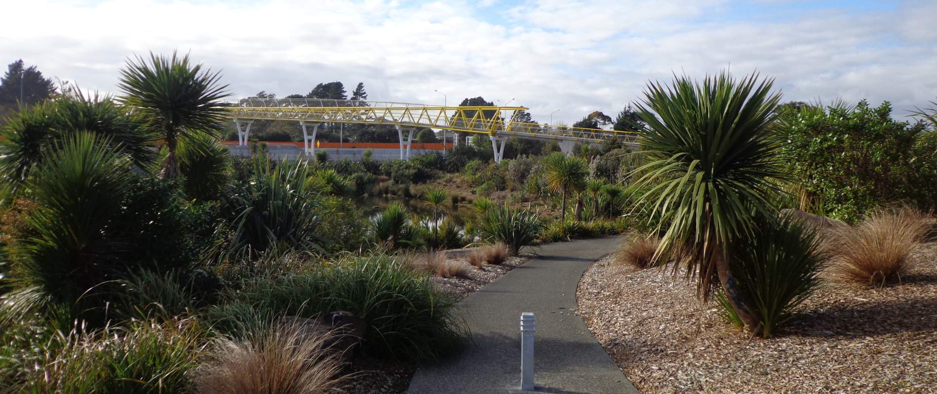 Moire Park Bush Walk