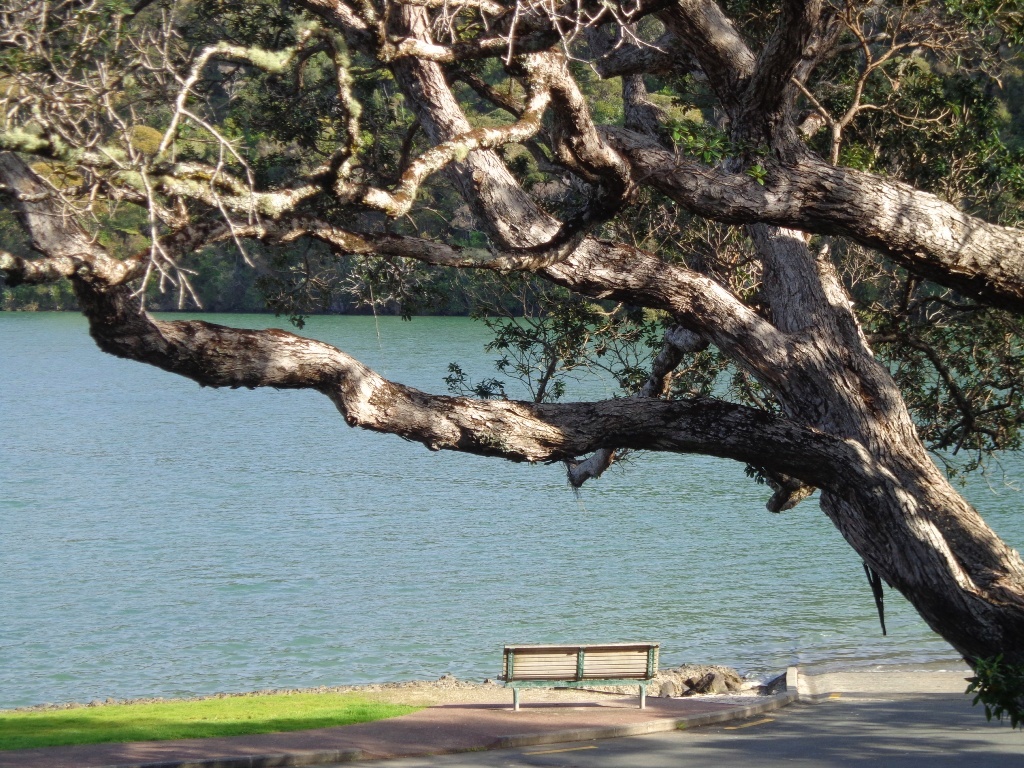 Lovely view on the Bayview Coast and Bush Walk