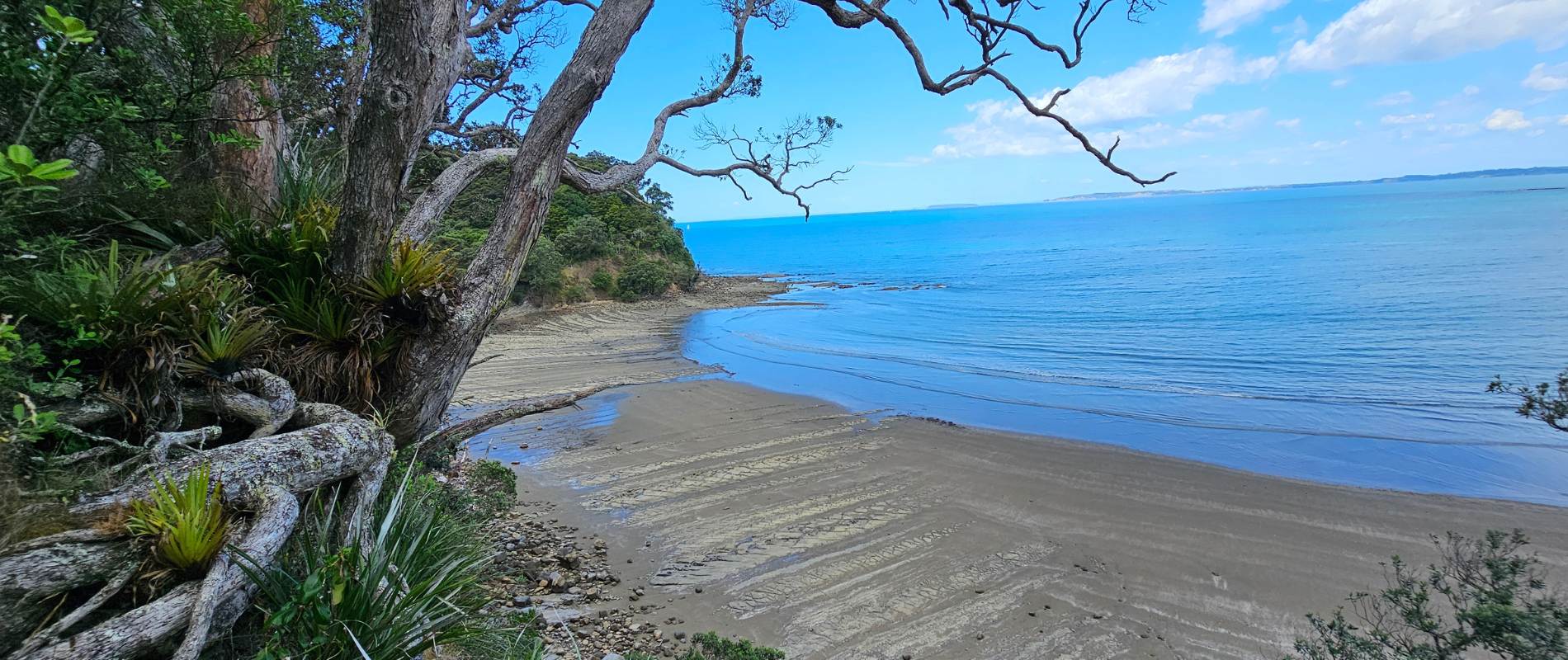 Beach views on the Cudlip Point Lookout walk at Mahurangi West