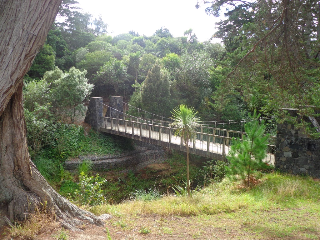 Bridge Botany to Cascades Loop Walk