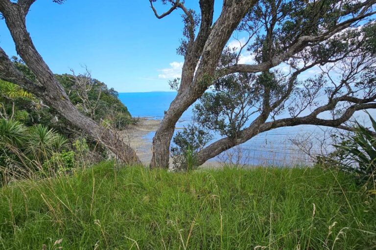 Cudlip Point Lookout walk at Mahurangi West - Down to Te Muri Beach