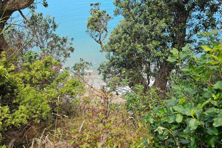 Cudlip Point Lookout walk at Mahurangi West - The point lookout (2)