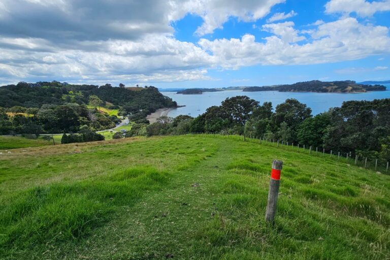 Cudlip Point Lookout walk at Mahurangi West - To the turnoff to the point