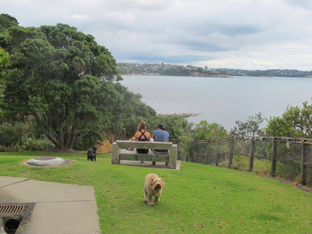 couple 2 dogs with view beach