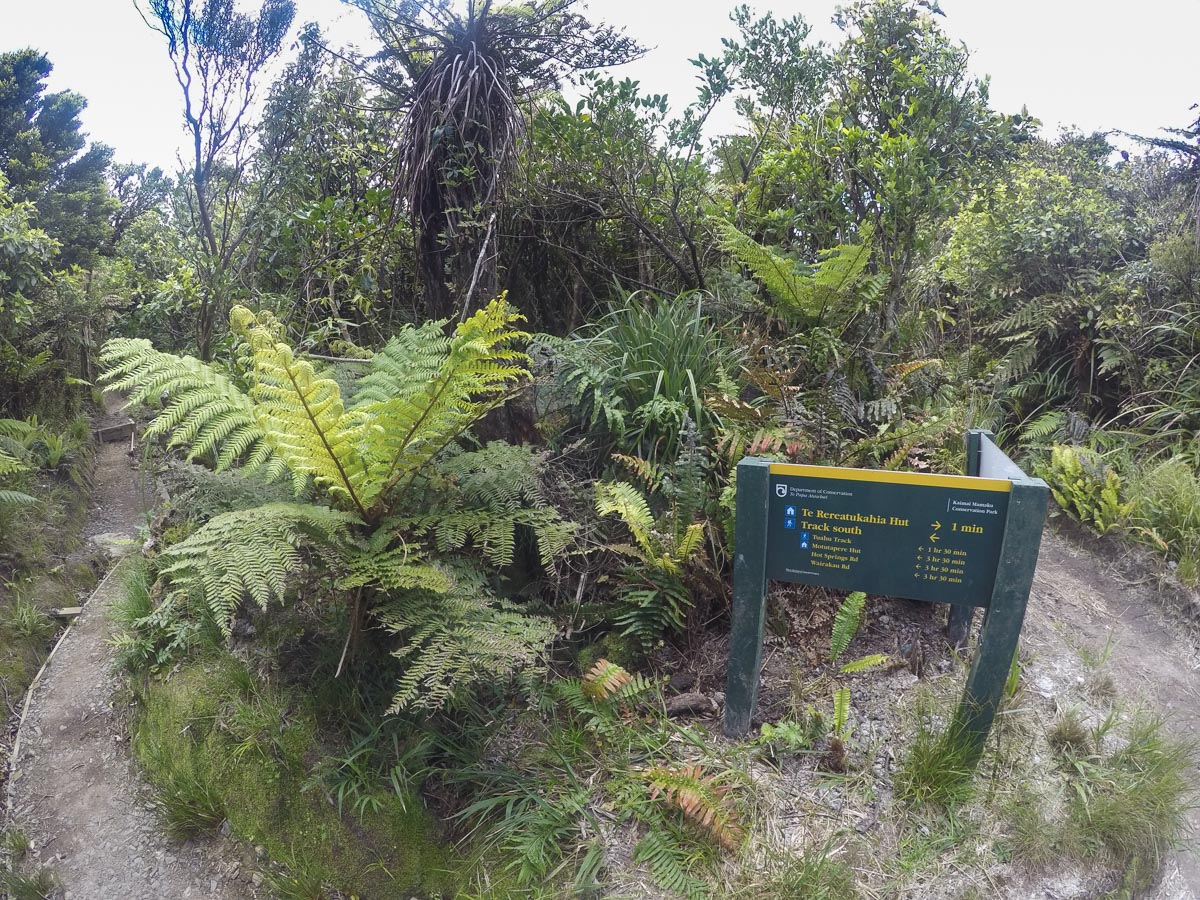 North South track sign to Rereatukaiha Hut