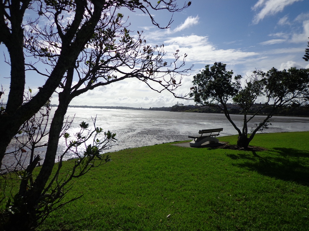 view to the beach Pakuranga Farm Cove Loop