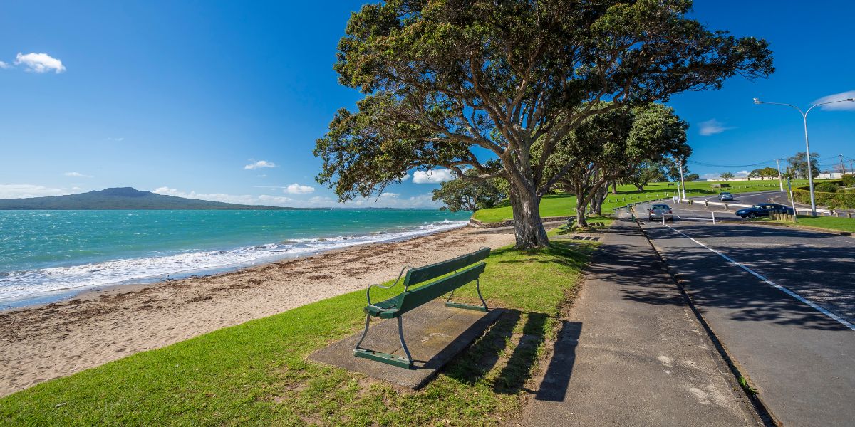 Seat at Narrow Neck Beach looking out to Rangitoto Island