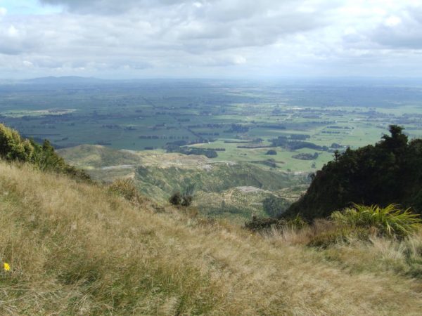 View at the second clearing on the Tuhua Track to Te Rereatukaiha hut