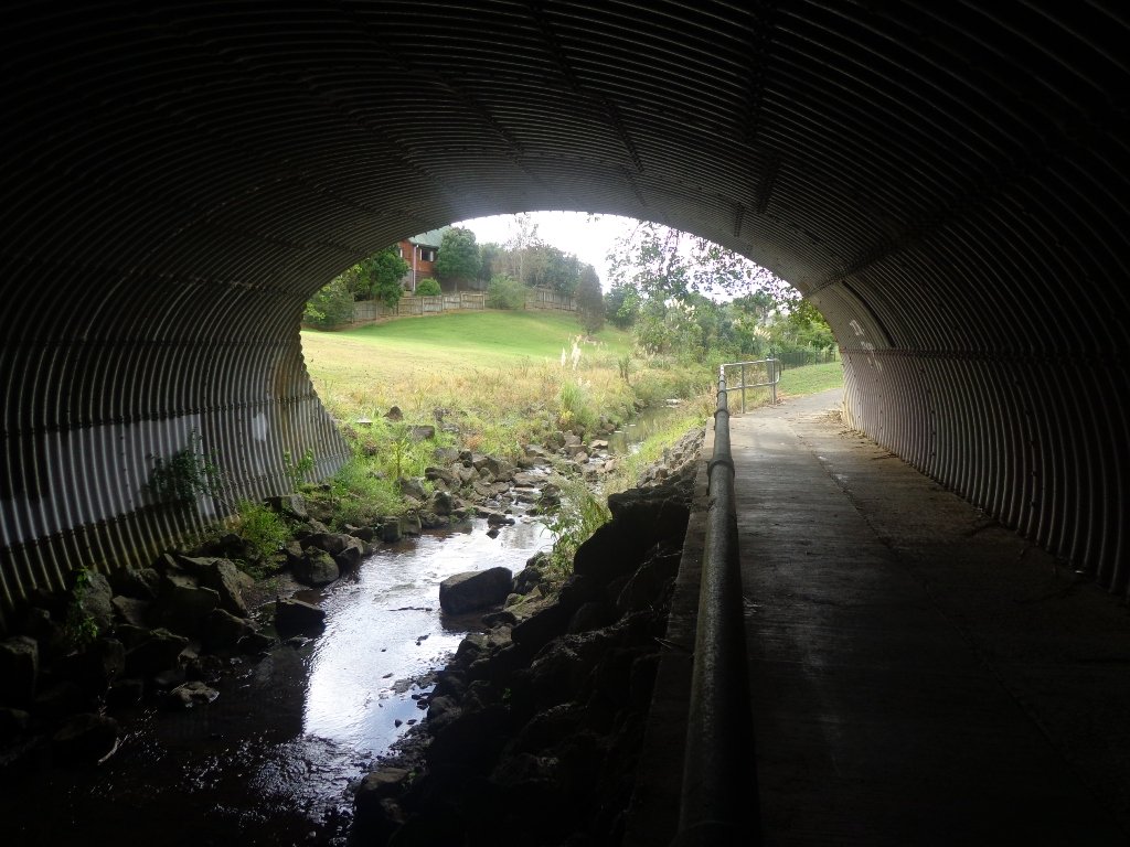 Botany to Cascades Loop Walk