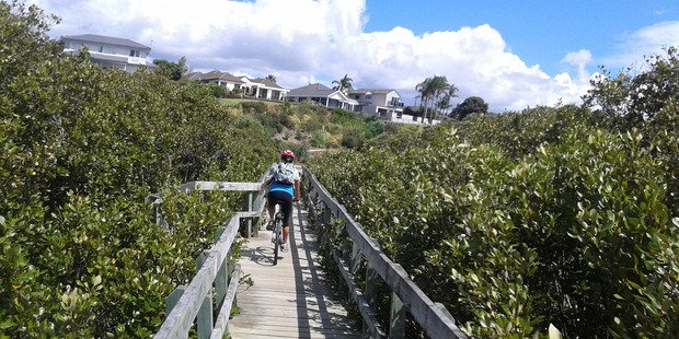 Cycle way at Conifer Grove Circuit