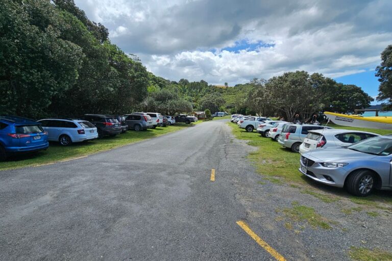 Cudlip Point Lookout walk at Mahurangi West - Start of the walk
