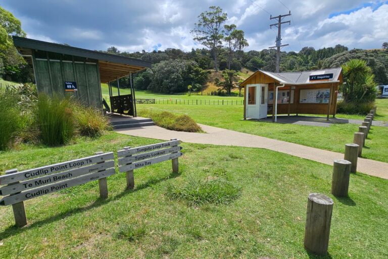 Cudlip Point Lookout walk at Mahurangi West - Start of the walk