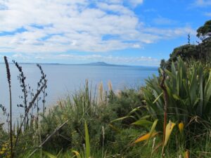 Mairangi Bay Loops