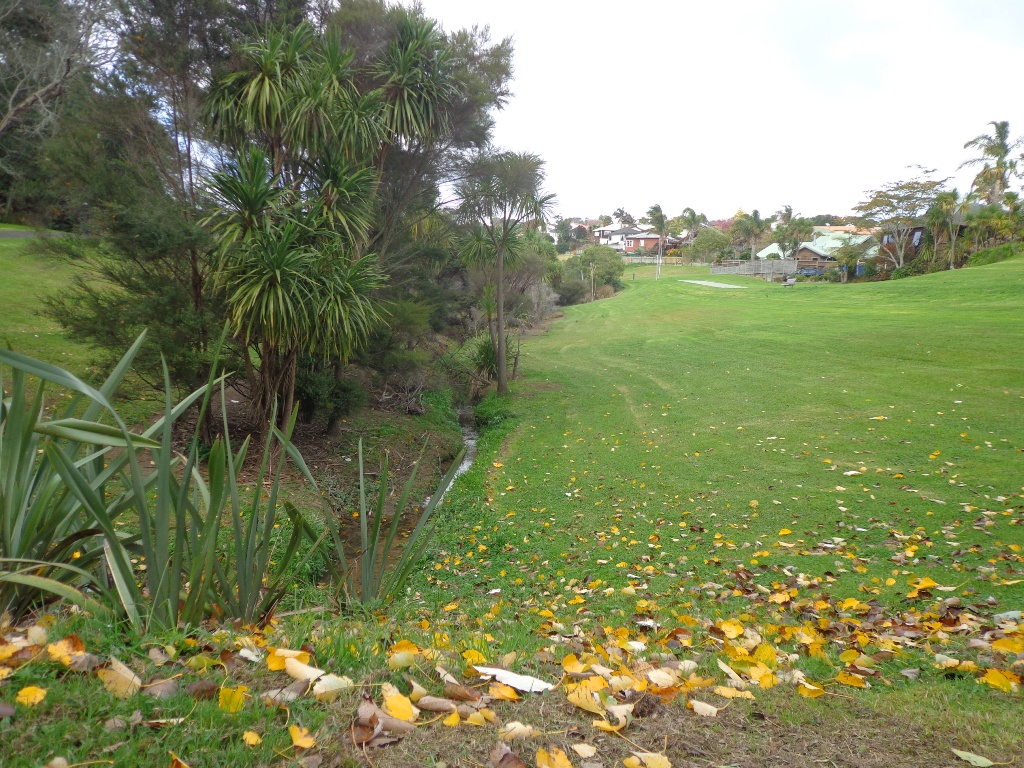 Meadowood Reserves Loop