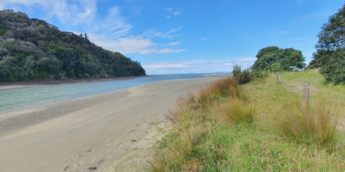 Beautiful walk in the North Island of New Zealand