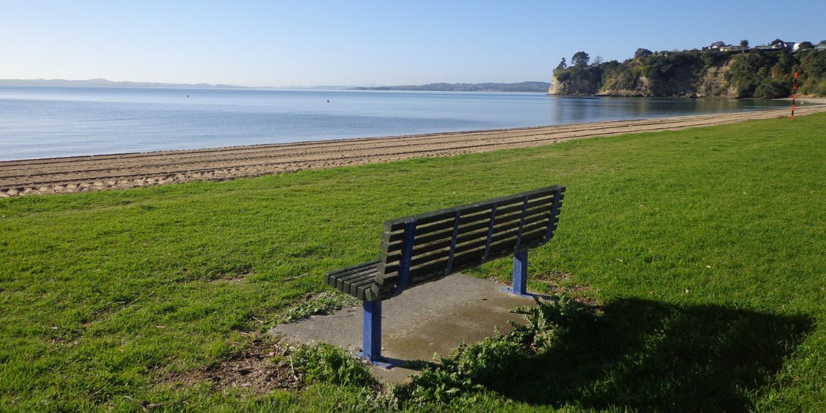 Bench seat overlooking the beach at Macleans Park