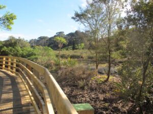 walk path and view to green side