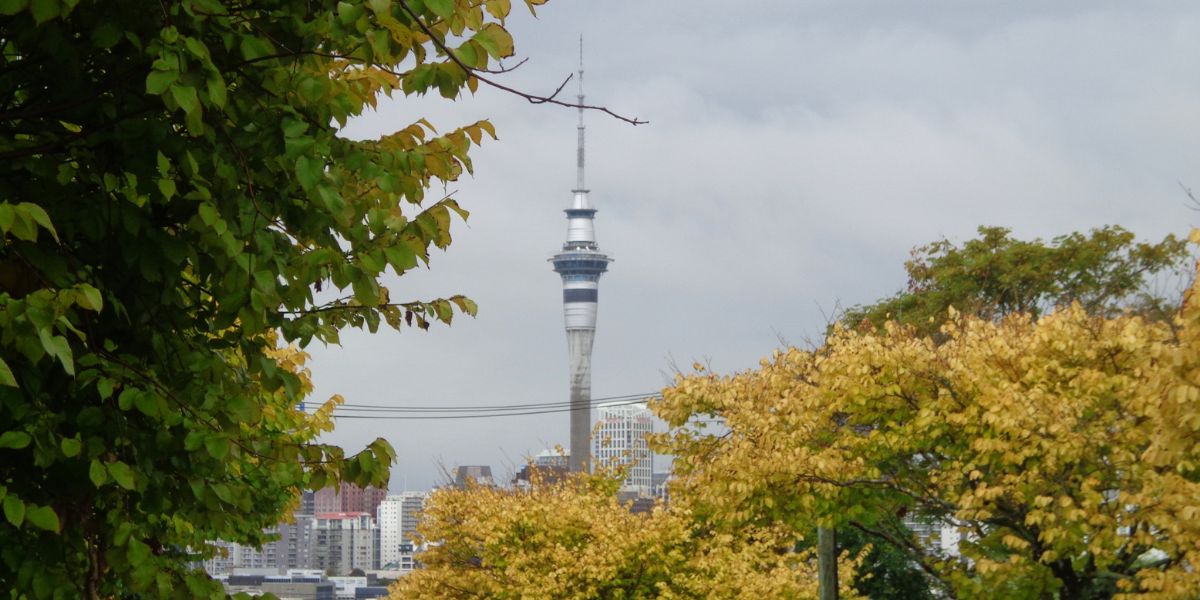 Lovely view of the Sky Tower from Ponsonby