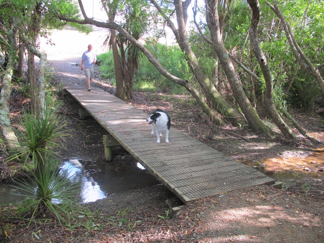 Man taking his dog for a walk in Macleans Park